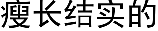 瘦长结实的 (黑体矢量字库)