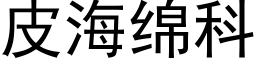 皮海綿科 (黑體矢量字庫)