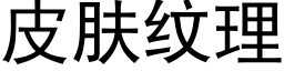 皮肤纹理 (黑体矢量字库)