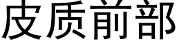 皮質前部 (黑體矢量字庫)