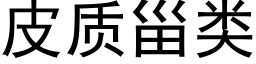 皮質甾類 (黑體矢量字庫)