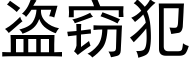 盗窃犯 (黑体矢量字库)