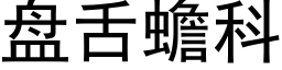 盘舌蟾科 (黑体矢量字库)