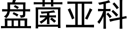 盘菌亚科 (黑体矢量字库)