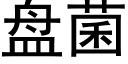 盘菌 (黑体矢量字库)