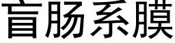 盲肠系膜 (黑体矢量字库)