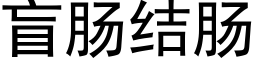 盲腸結腸 (黑體矢量字庫)