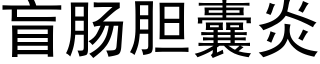 盲腸膽囊炎 (黑體矢量字庫)