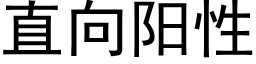 直向陽性 (黑體矢量字庫)