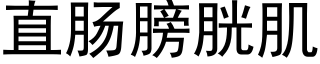 直肠膀胱肌 (黑体矢量字库)