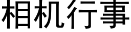 相机行事 (黑体矢量字库)