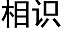 相識 (黑體矢量字庫)