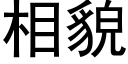 相貌 (黑體矢量字庫)