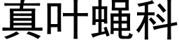 真葉蠅科 (黑體矢量字庫)