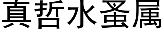 真哲水蚤属 (黑体矢量字库)