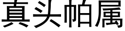 真头帕属 (黑体矢量字库)