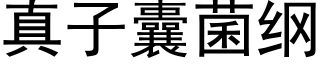 真子囊菌纲 (黑体矢量字库)