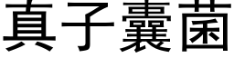 真子囊菌 (黑体矢量字库)