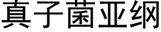 真子菌亞綱 (黑體矢量字庫)