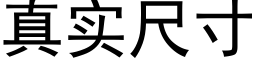 真实尺寸 (黑体矢量字库)