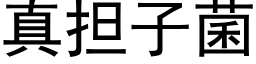 真担子菌 (黑体矢量字库)