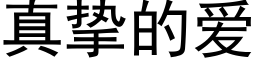 真挚的爱 (黑体矢量字库)