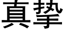 真挚 (黑体矢量字库)