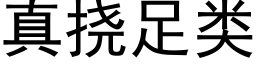 真撓足類 (黑體矢量字庫)