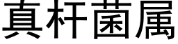 真杆菌属 (黑体矢量字库)