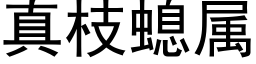 真枝螅属 (黑体矢量字库)