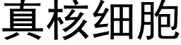 真核細胞 (黑體矢量字庫)