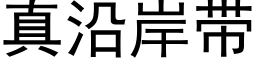 真沿岸帶 (黑體矢量字庫)