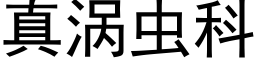 真渦蟲科 (黑體矢量字庫)