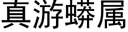 真遊蟒屬 (黑體矢量字庫)