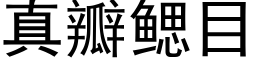 真瓣鳃目 (黑体矢量字库)