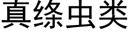 真縧蟲類 (黑體矢量字庫)