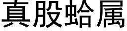 真股蛤屬 (黑體矢量字庫)