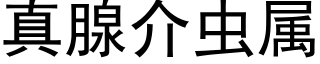 真腺介蟲屬 (黑體矢量字庫)