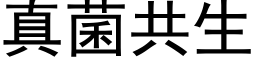 真菌共生 (黑体矢量字库)