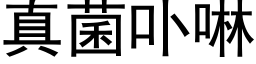 真菌卟啉 (黑体矢量字库)