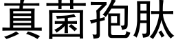 真菌孢肽 (黑體矢量字庫)