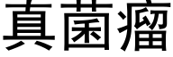 真菌瘤 (黑体矢量字库)