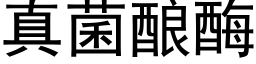 真菌釀酶 (黑體矢量字庫)