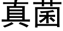 真菌 (黑體矢量字庫)