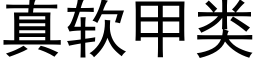 真軟甲類 (黑體矢量字庫)