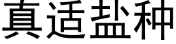 真适鹽種 (黑體矢量字庫)