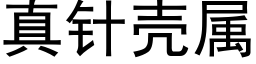 真針殼屬 (黑體矢量字庫)