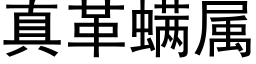 真革螨屬 (黑體矢量字庫)