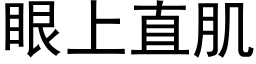 眼上直肌 (黑體矢量字庫)