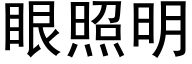 眼照明 (黑體矢量字庫)